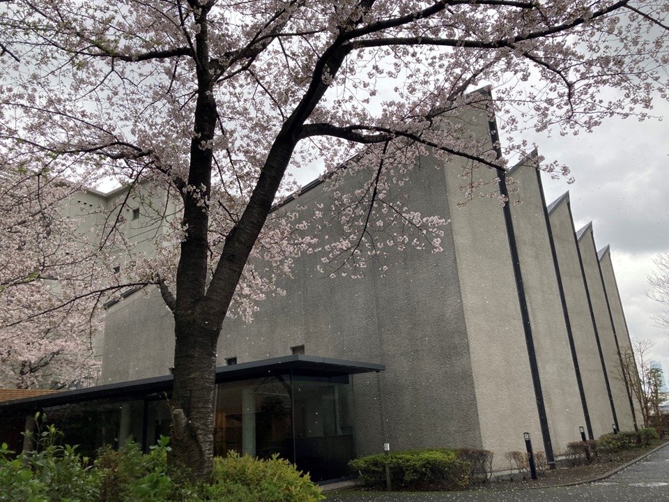 特別養護老人ホーム　聖母ホーム