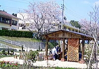 ビハーラ相扶