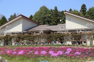 ビハーラ相扶