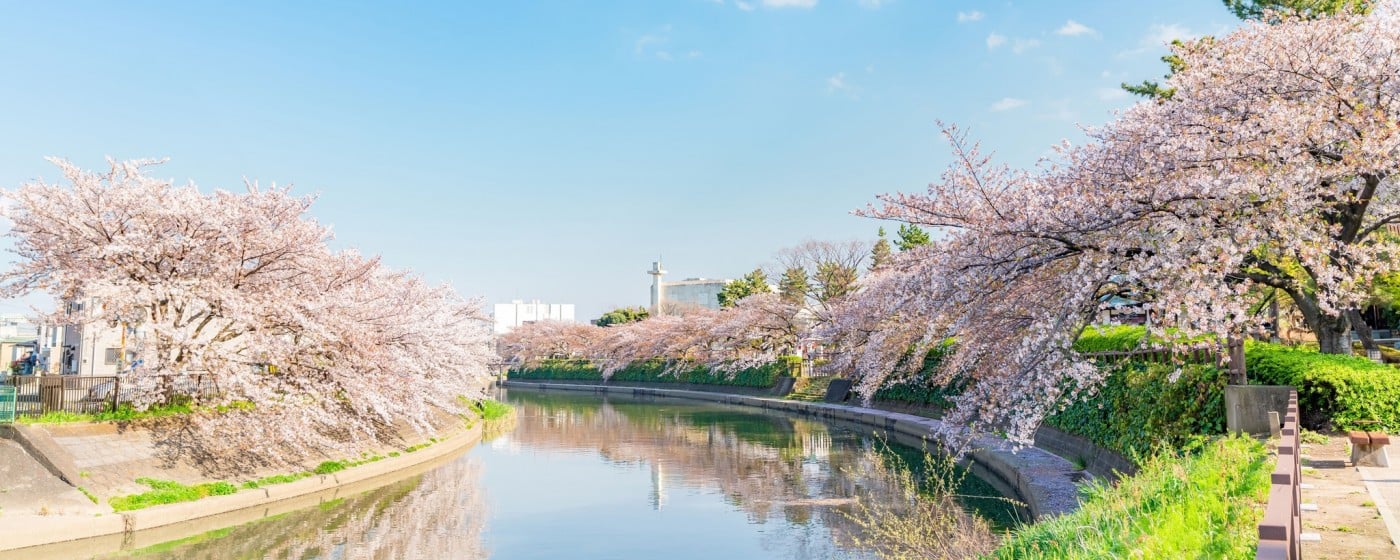 特別養護老人ホーム　柿木園