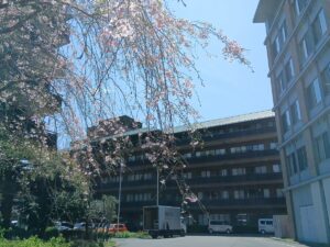 南陽園