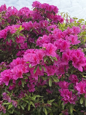 グループホーム　老花家