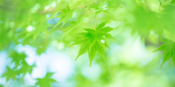 介護老人福祉施設　星花苑