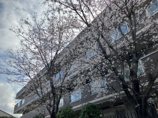 SOMPOケア　ラヴィーレ東所沢
