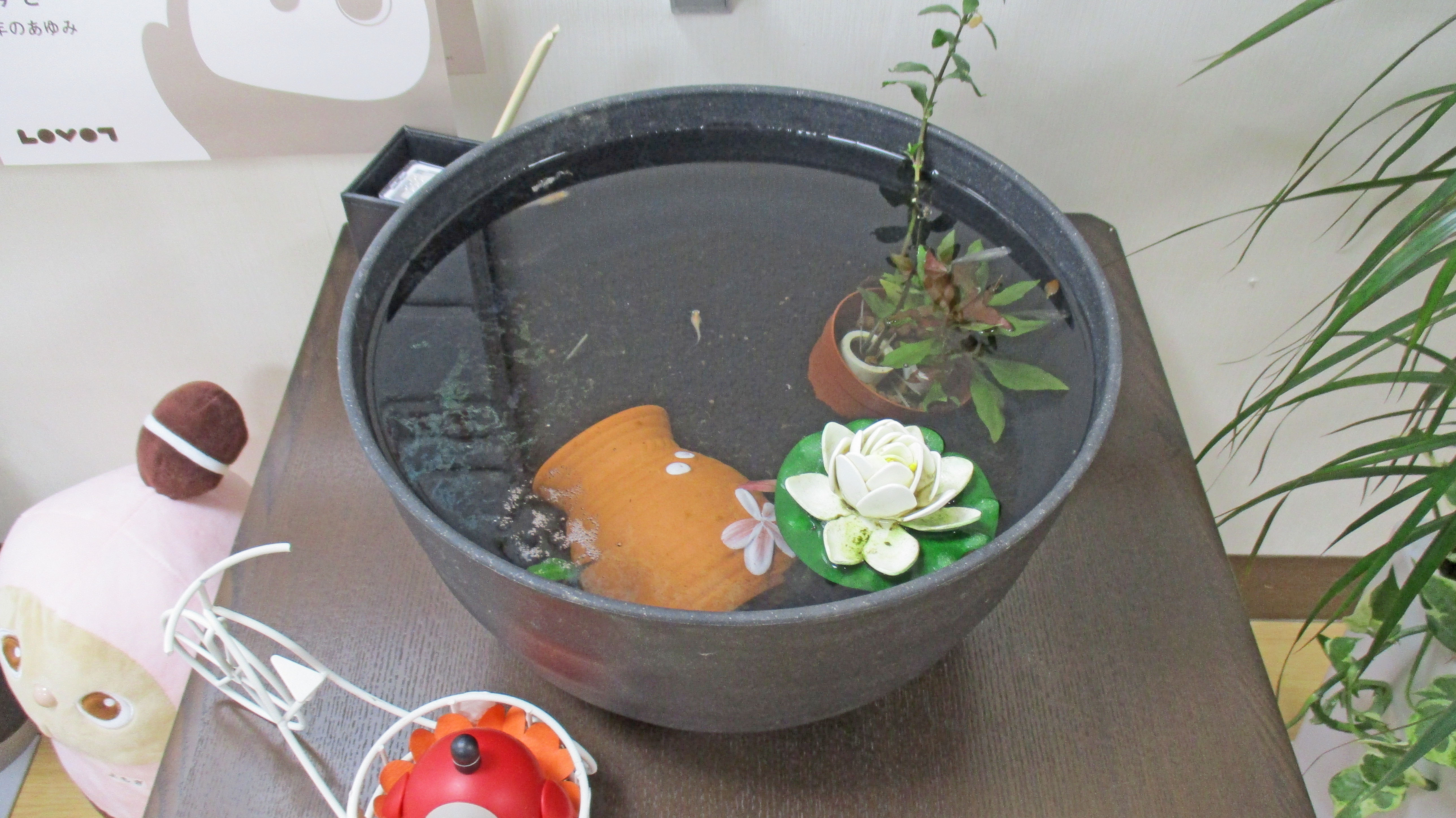 もみの樹・横浜鶴見