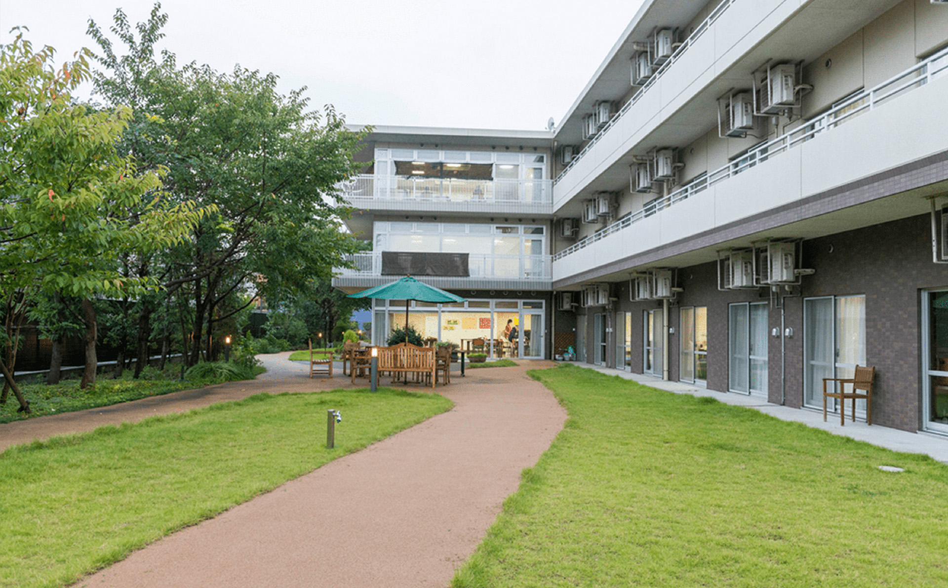 もみの樹・横浜鶴見