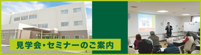 もみの樹・横浜鶴見