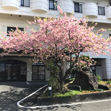 特別養護老人ホーム彩幸