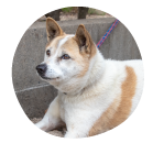 グループホームさち