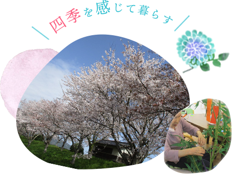 ウェルライフ三刀屋