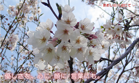 特別養護老人ホームあおい荘