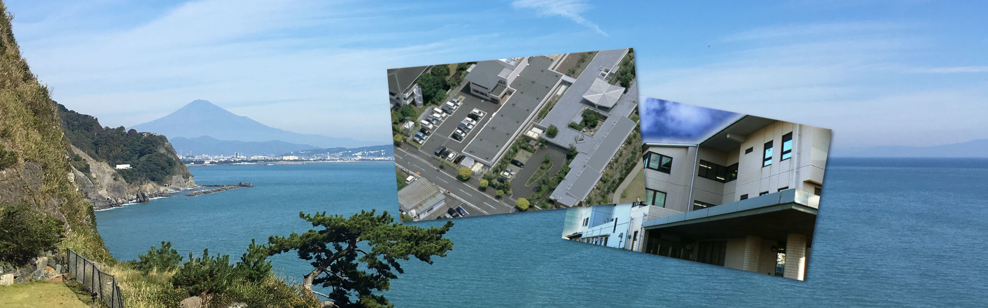 特別養護老人ホーム大井川睦園