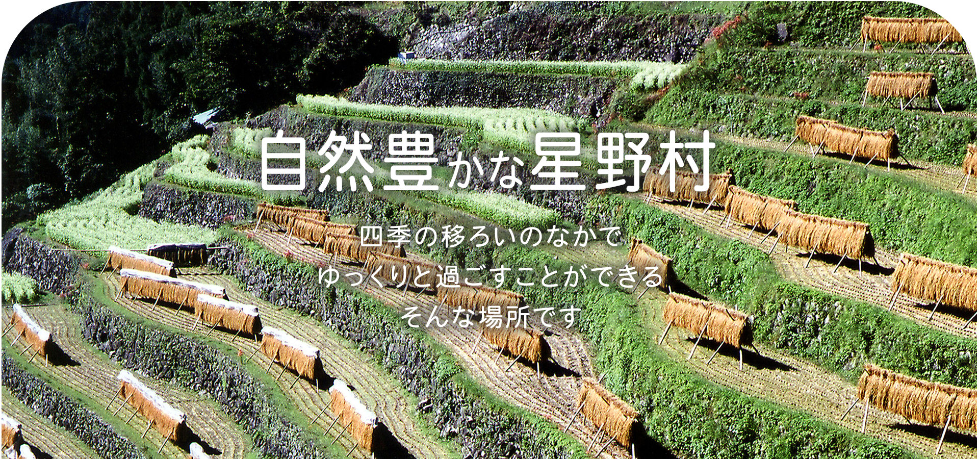 星寿園グループホームほしのさと