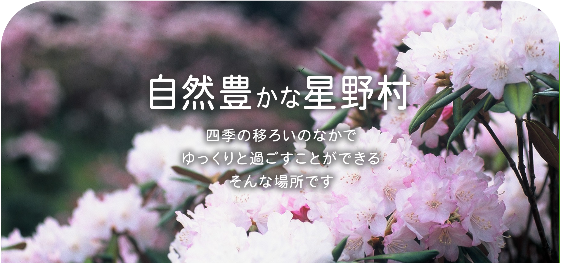 星寿園グループホームほしのさと