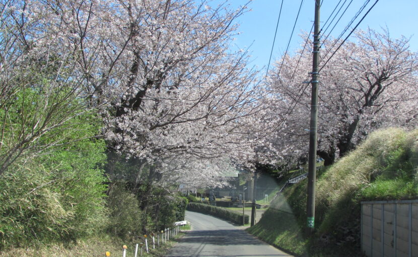 特別養護老人ホーム　和みの園