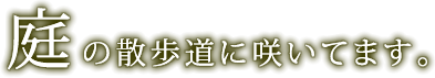 グループホーム　都筑の丘