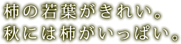 グループホーム　都筑の丘