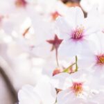 特別養護老人ホーム　新磯子ホーム｜横浜市磯子区神奈川県横浜市磯子区滝頭２－２９－１の介護付き有料老人ホームの写真
