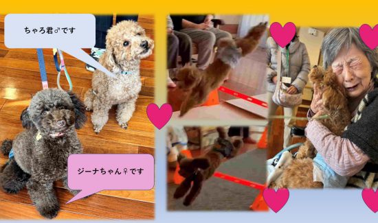 わかたけ青葉