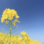 もえぎケアセンター下倉田｜横浜市戸塚区神奈川県横浜市戸塚区下倉田町７９４－１の介護付き有料老人ホームの写真