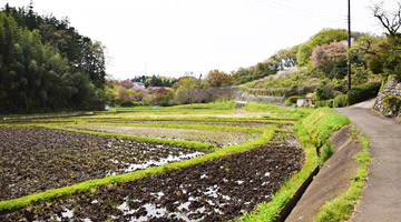 てるてる園