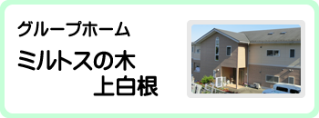 シャローム横浜