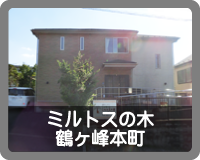 シャローム　ミルトスの木