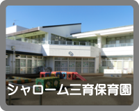 シャローム　ミルトスの木