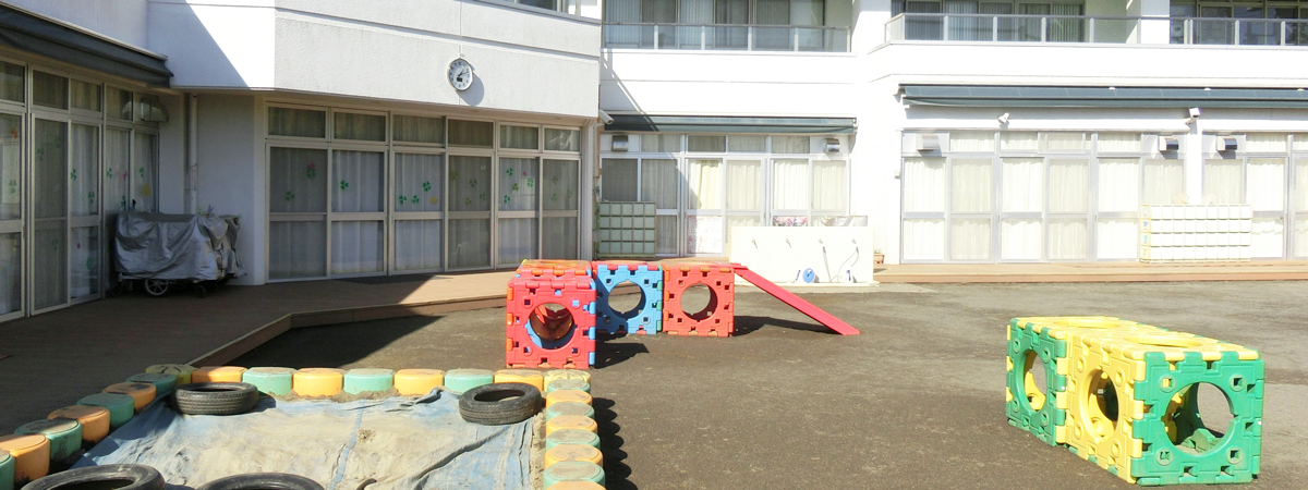 シャローム　ミルトスの木