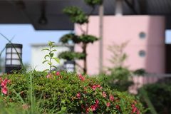 介護老人福祉施設　サンライズヒル横浜