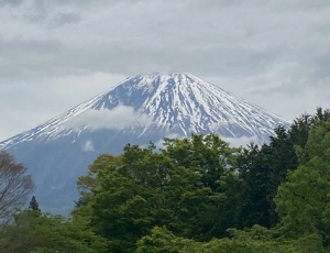 みどりのそよかぜ