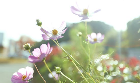 介護老人福祉施設 わかたけ南