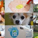グループホームあしたの風｜横須賀市神奈川県横須賀市佐原3-4-22の介護付き有料老人ホームの写真