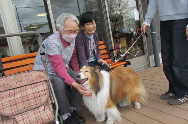 サニーステージ野比弐番館