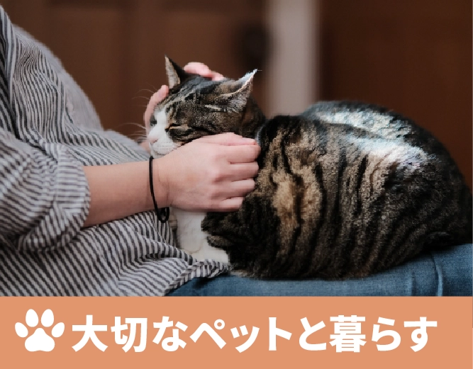 ベストライフ逗子